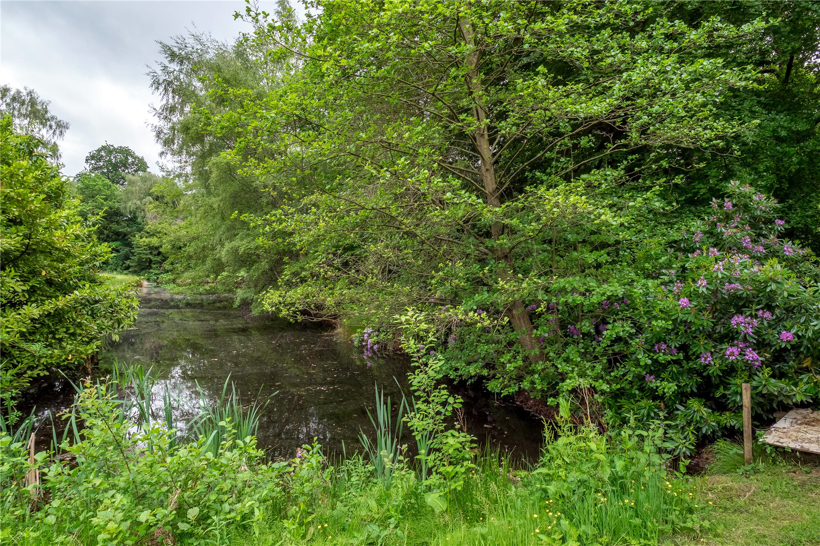 Serpentine Square, Alderley Park, Nether Alderley, Cheshire, SK10, photo 26