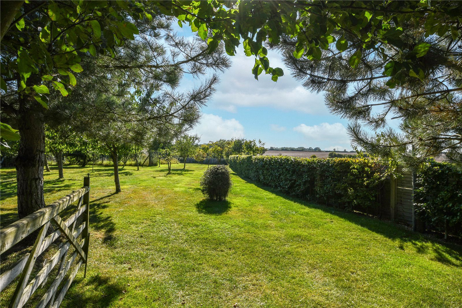High Wych, Sawbridgeworth, Herts, CM21, photo 40