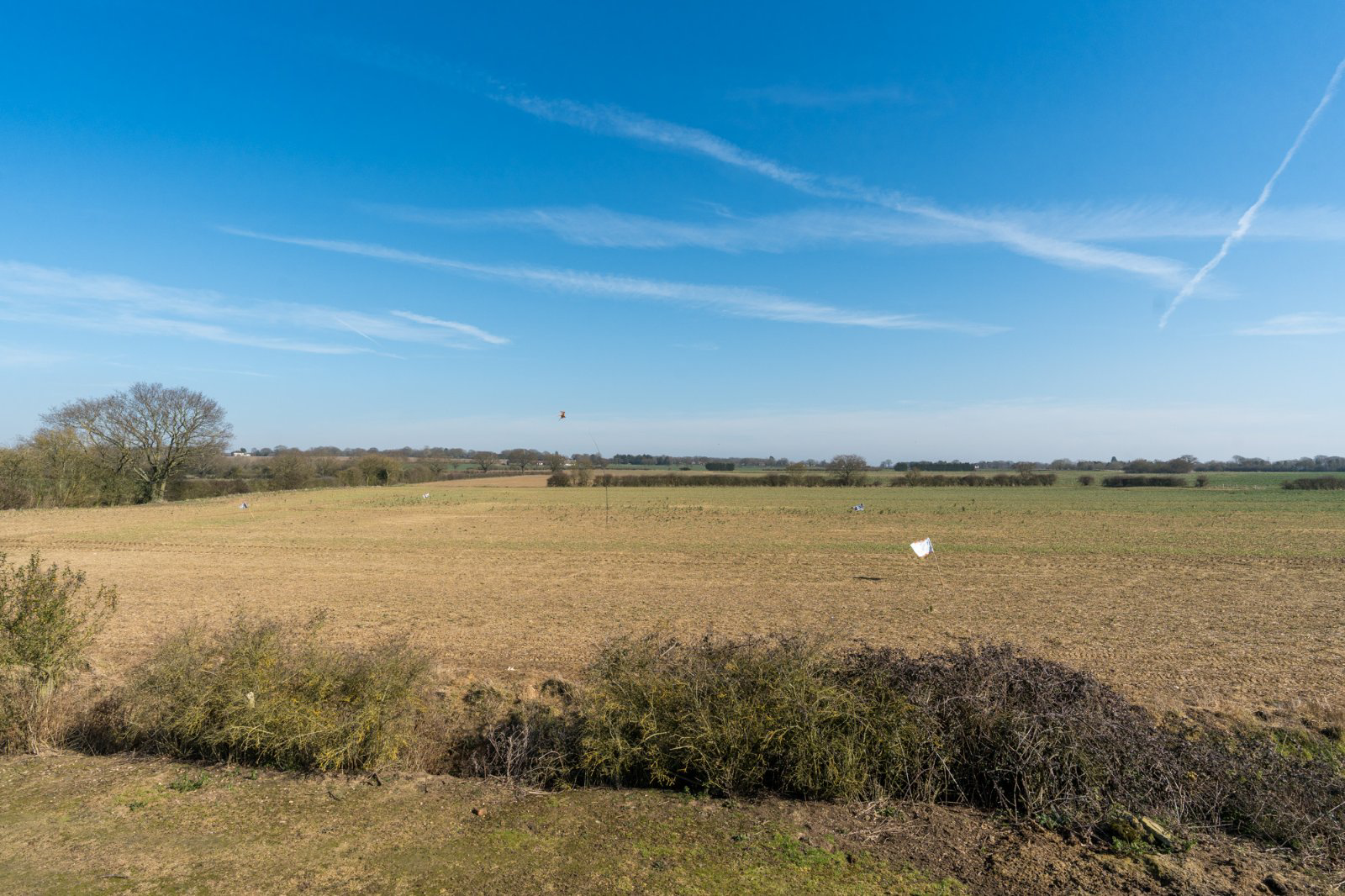 Brick House Road, Tolleshunt Major, Maldon, Essex, CM9, photo 36