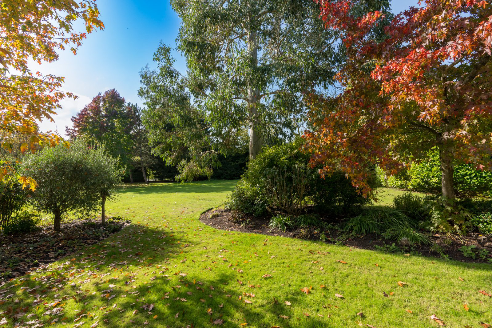 Church Road, Wickham Bishops, Essex, CM8, photo 55