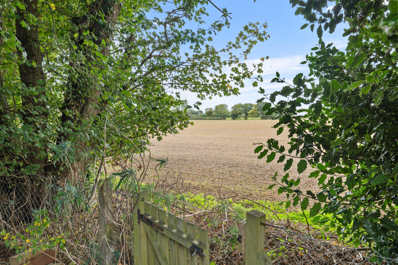 Sackville Way, West Bergholt, Colchester, Essex, CO6, photo 21