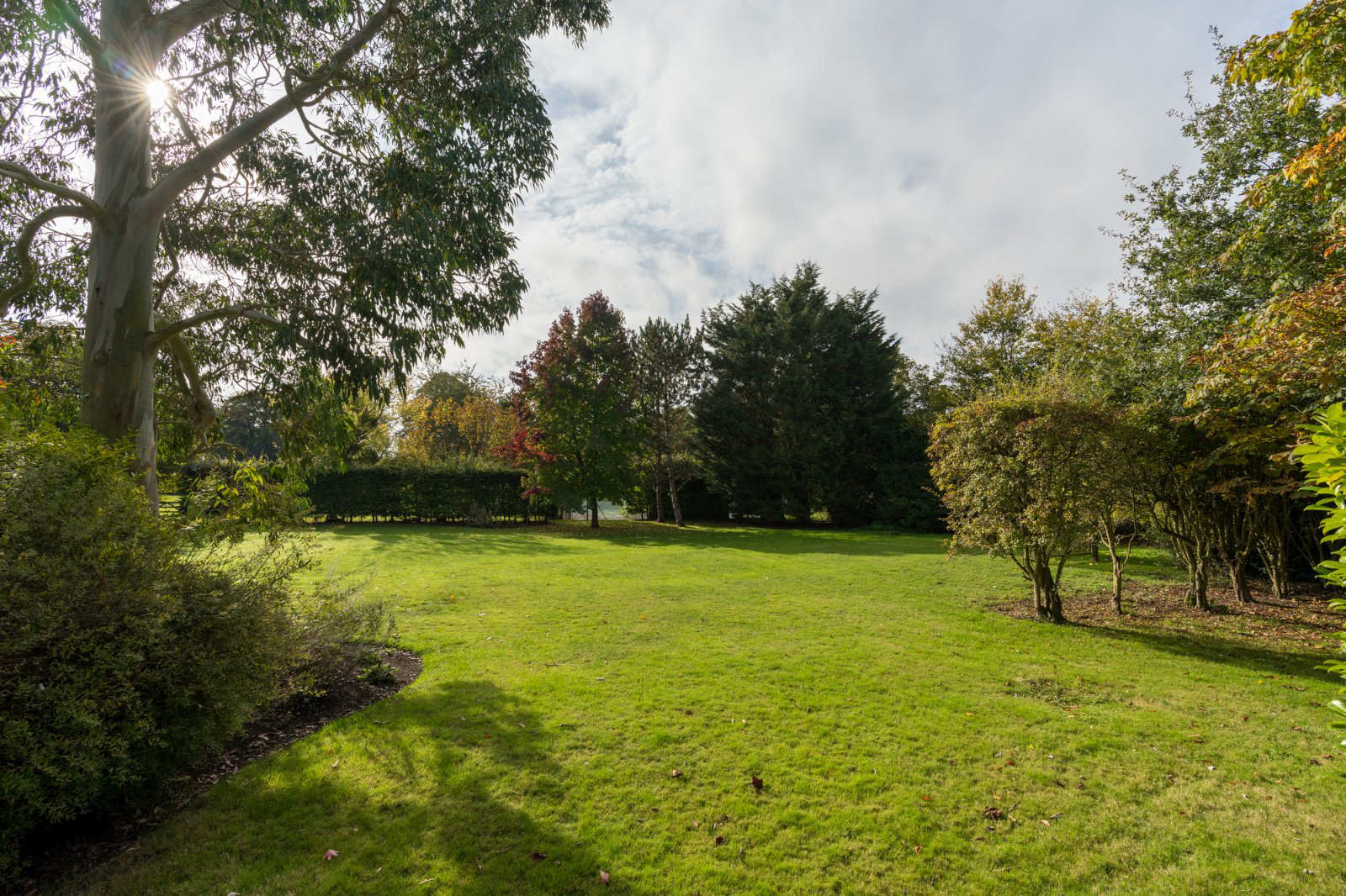Church Road, Wickham Bishops, Essex, CM8, photo 38