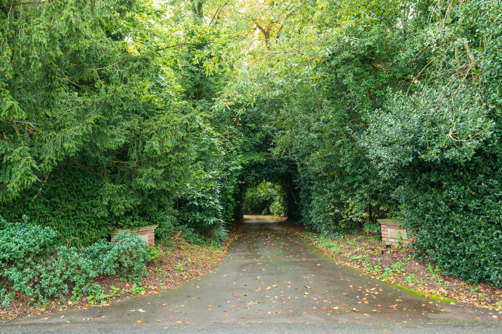Church Road, Wickham Bishops, Essex, CM8, photo 57