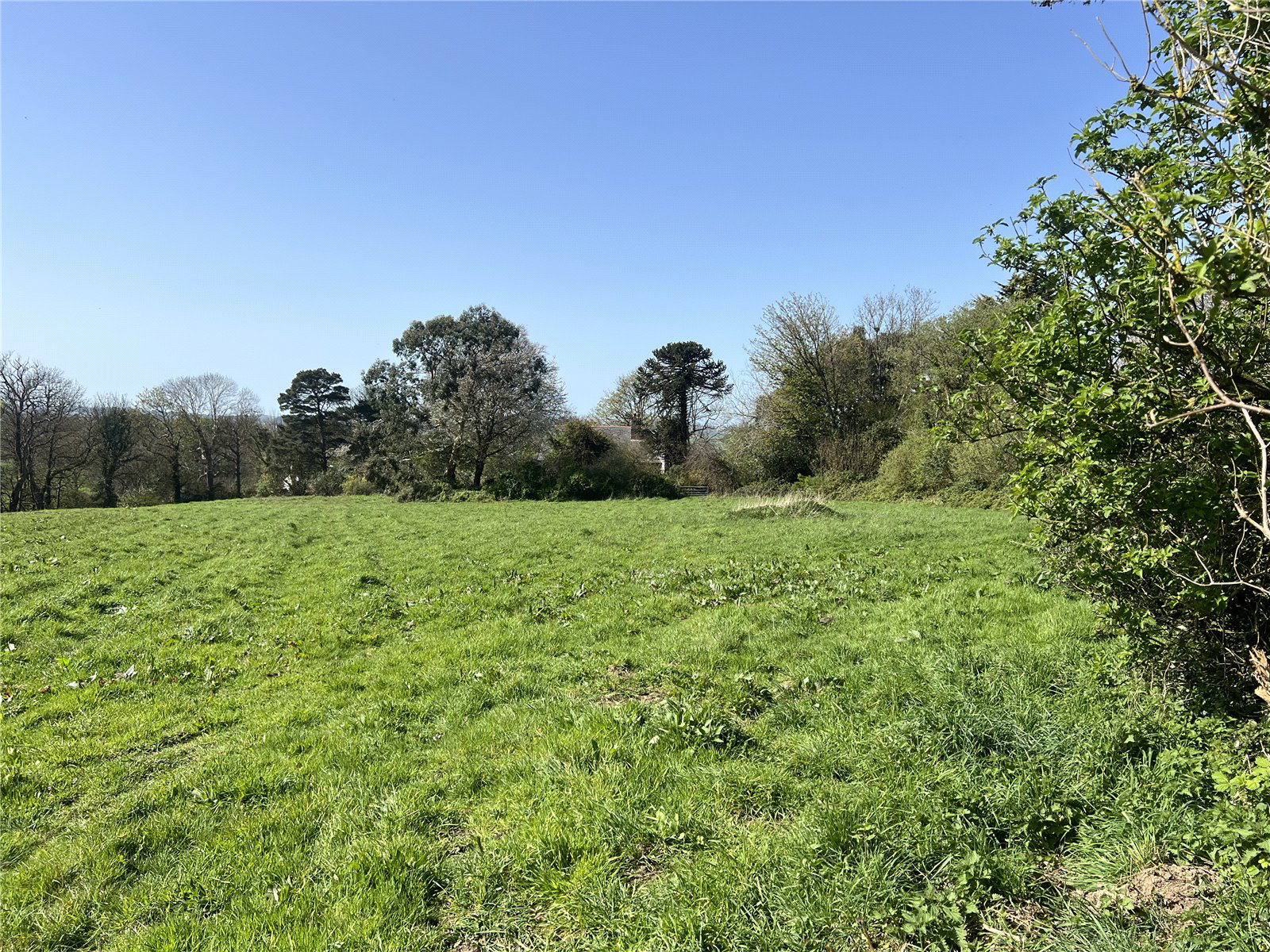 Woodtown, Bideford, Devon, EX39, photo 13