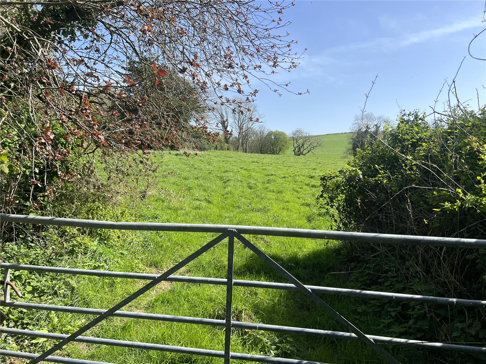 Woodtown, Bideford, Devon, EX39, photo 10
