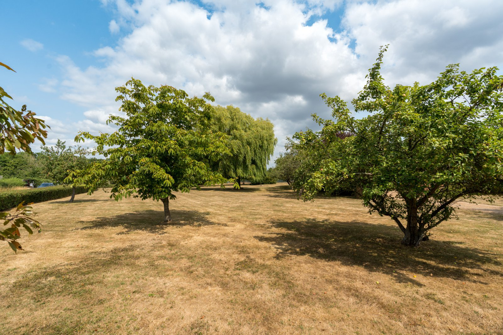 Layer Rd, Abberton, Essex, CO5, photo 45