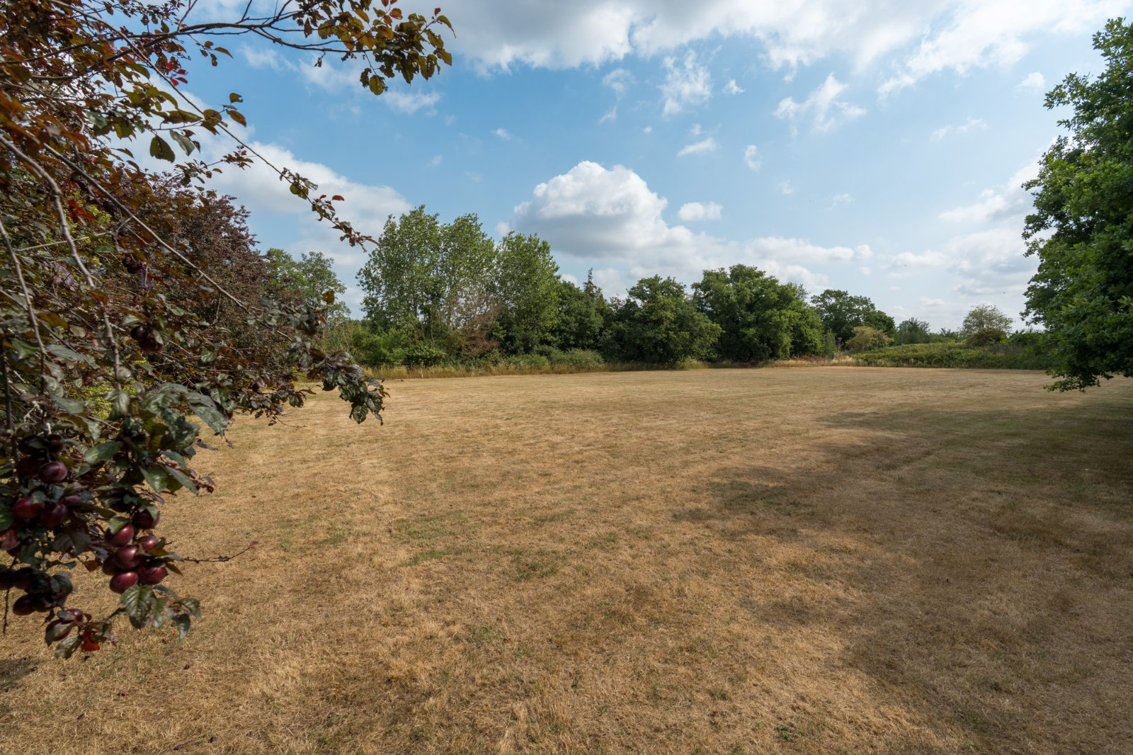 Layer Rd, Abberton, Essex, CO5, photo 29