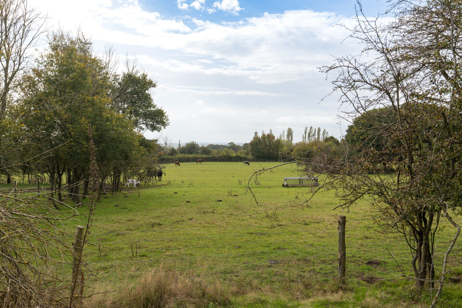Church Road, Wickham Bishops, Essex, CM8, photo 44