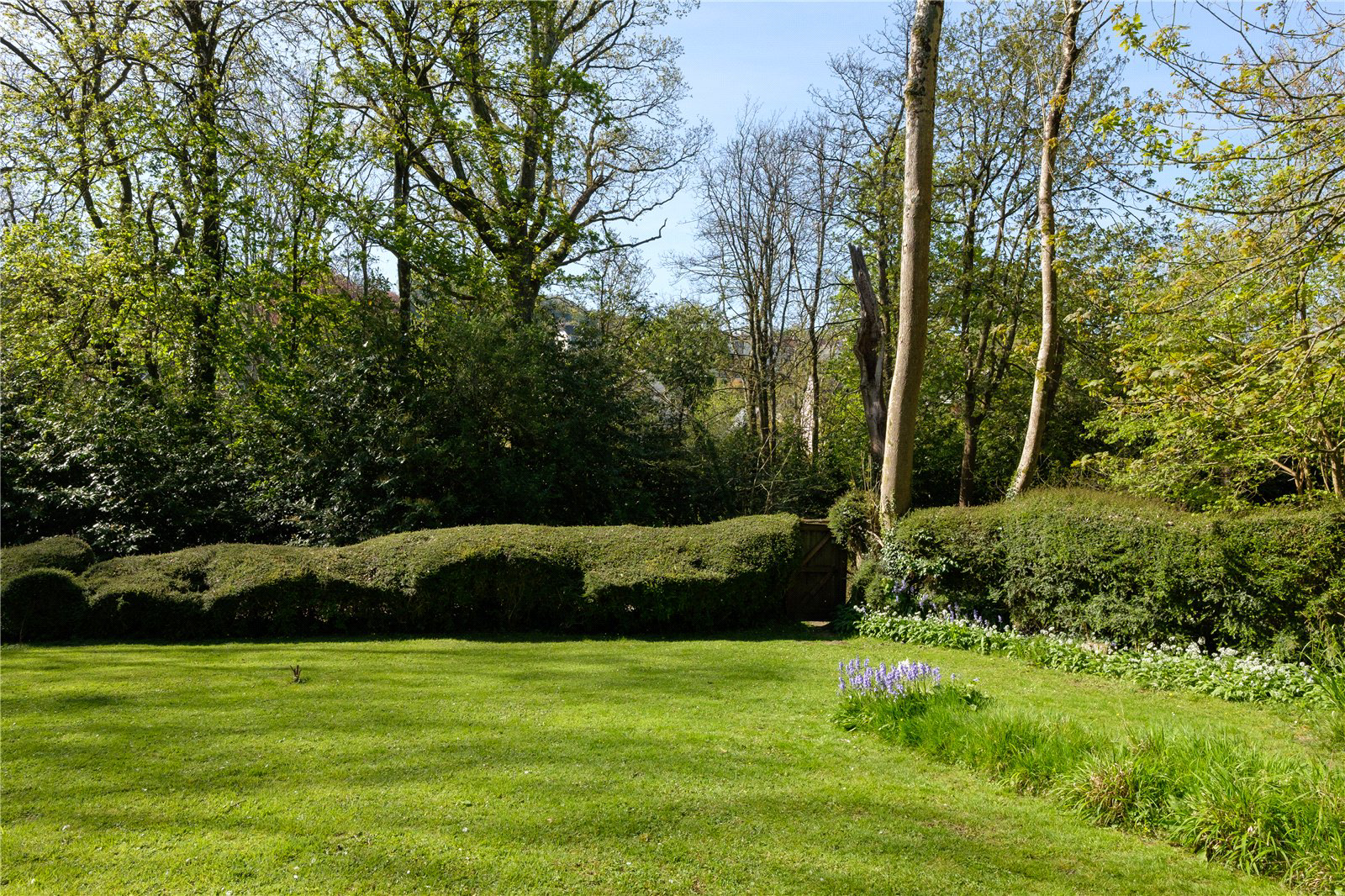 Pound Lane, Uplyme, Lyme Regis, Devon, DT7, photo 44