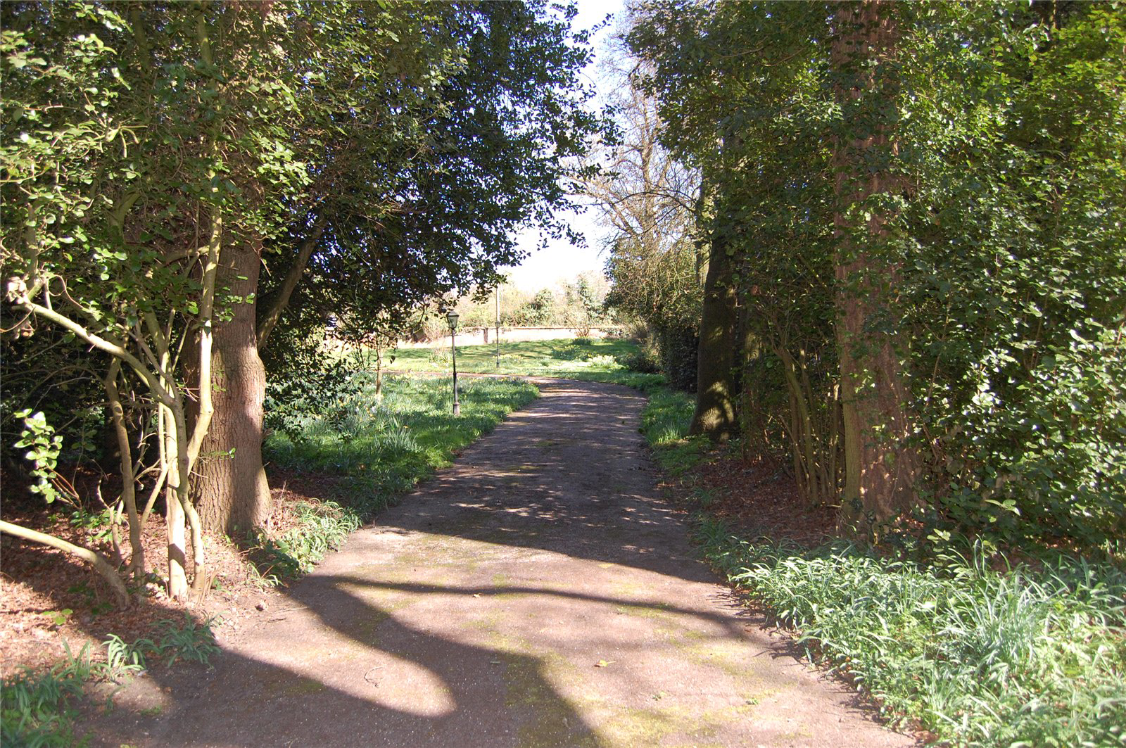 The Park, Great Barton, Bury St Edmunds, Suffolk, IP31, photo 9