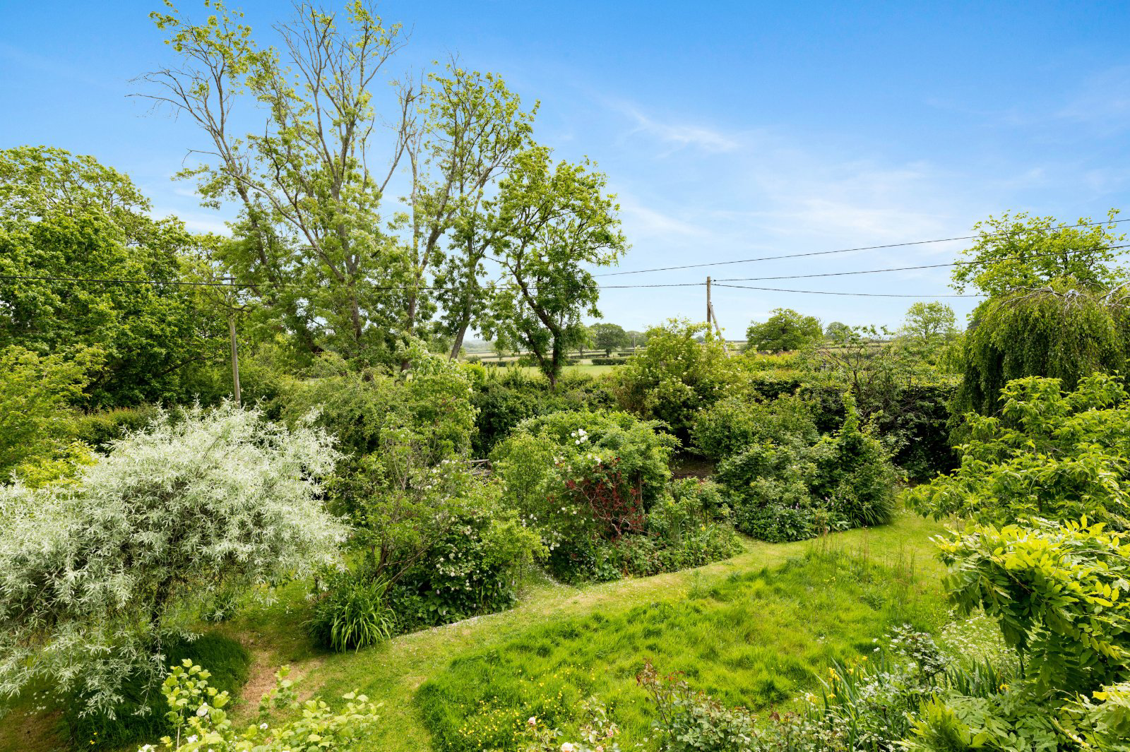 Plumpton Green, Lewes, East Sussex, BN7, photo 10