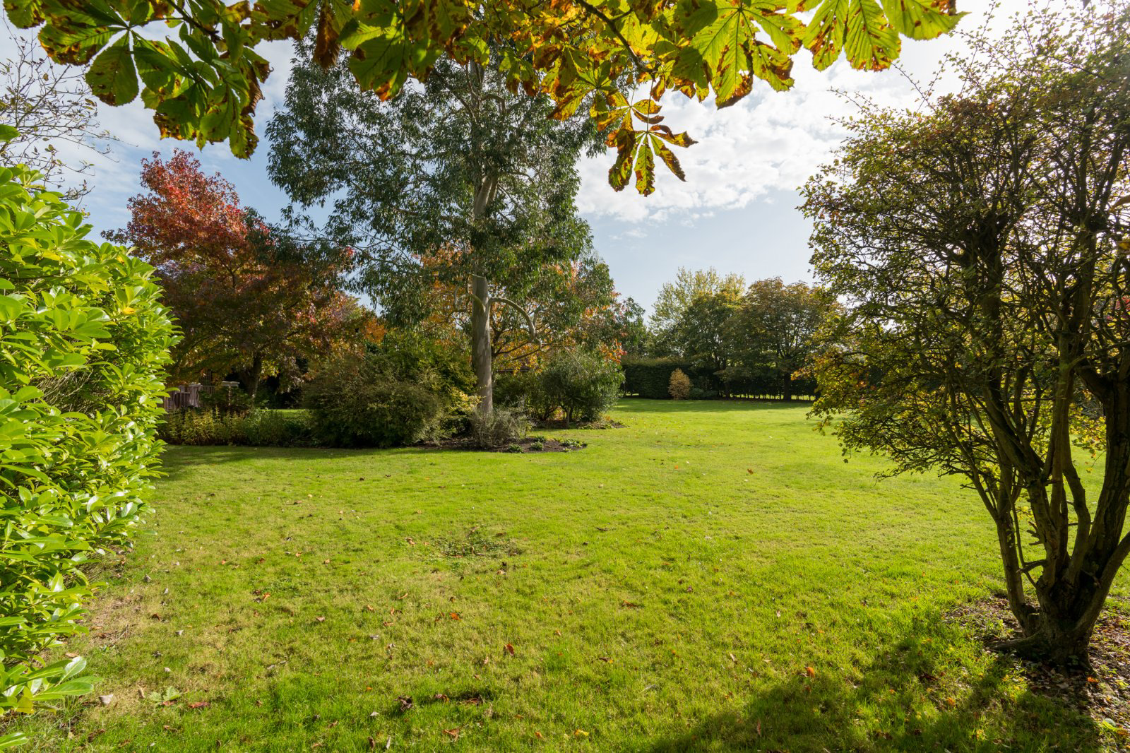 Church Road, Wickham Bishops, Essex, CM8, photo 45