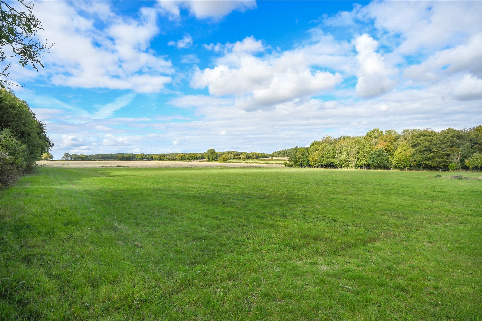 Langley Upper Green, Saffron Walden, Essex, CB11, photo 3
