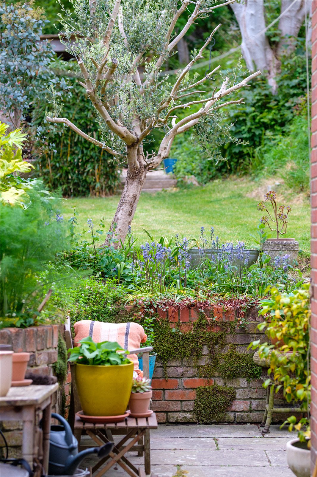St. Andrews Road, Bridport, Dorset, DT6, photo 53