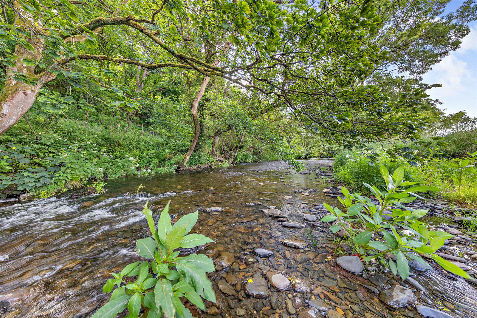 Bryn Rhyd Yr Arian, Llanfairtalhairn, Abergele, Conwy, LL22, photo 3