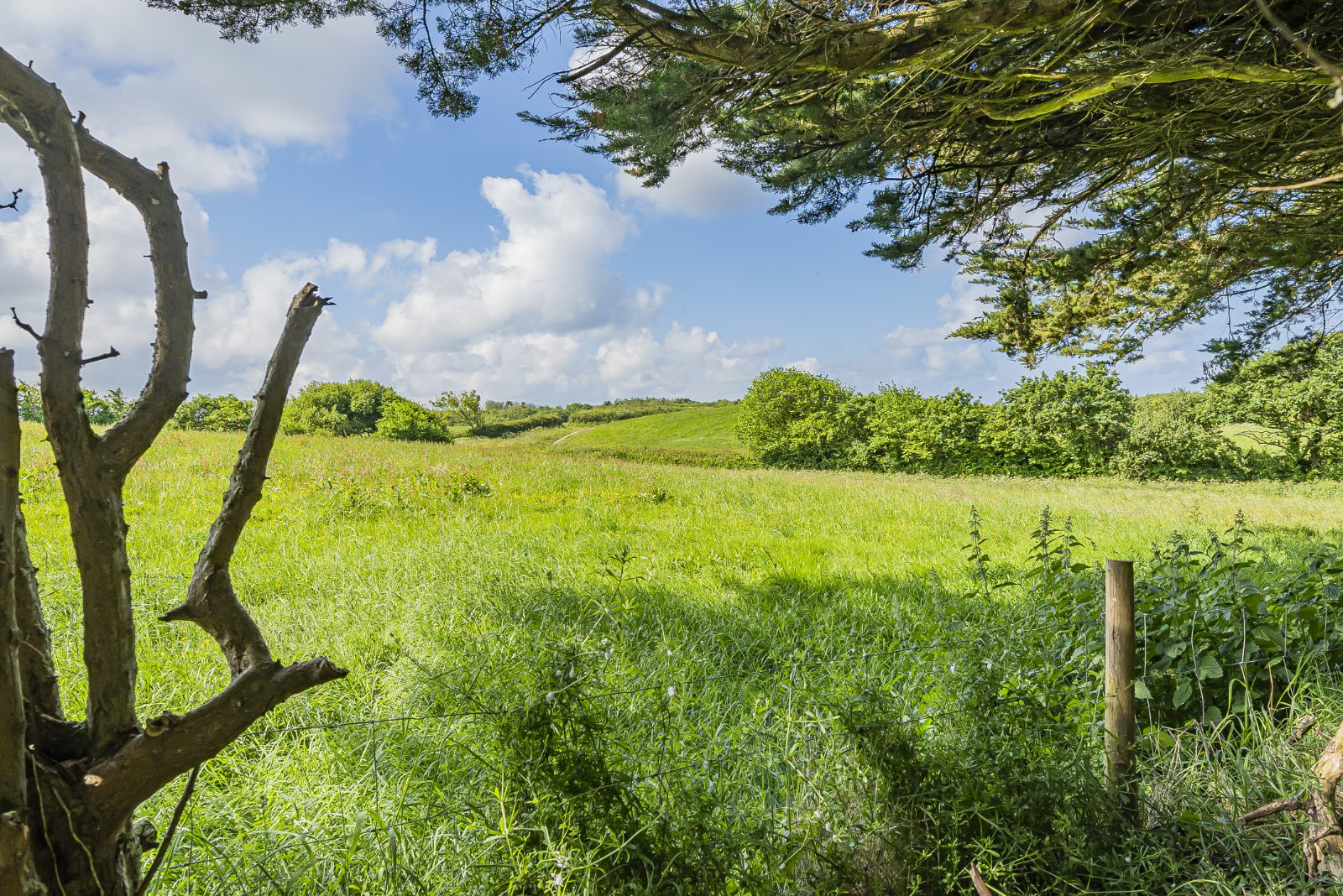 Helscott Road, Marhamchurch, Bude, Cornwall, EX23, photo 2