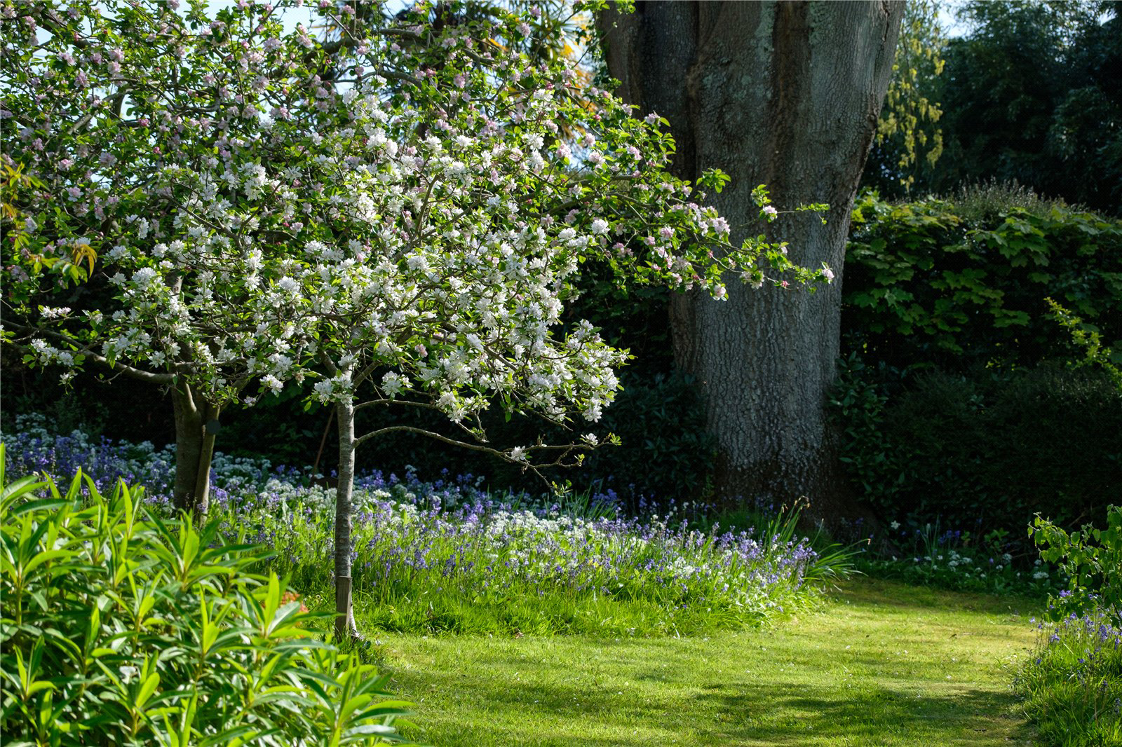 Pound Lane, Uplyme, Lyme Regis, Devon, DT7, photo 47