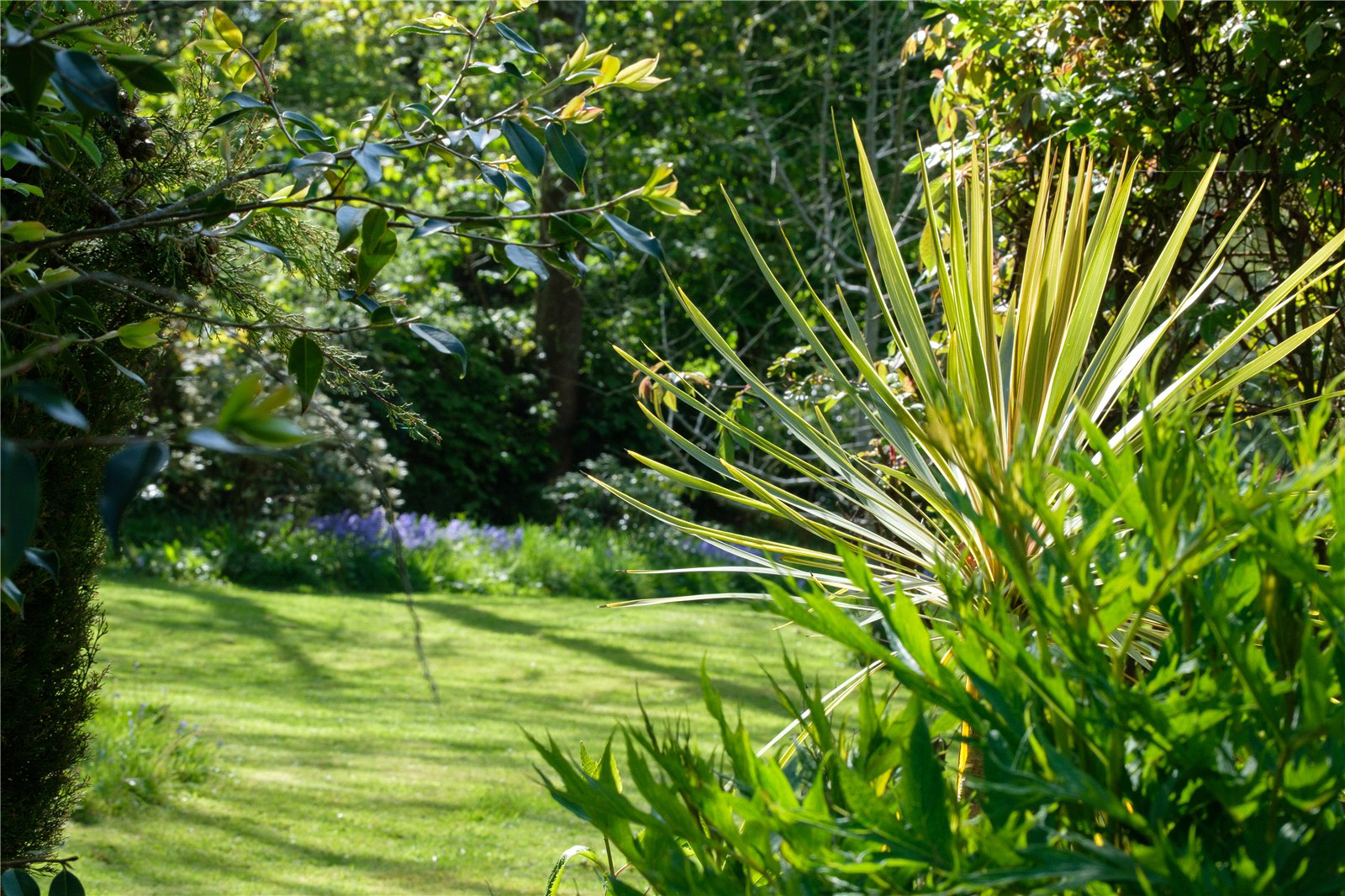 Pound Lane, Uplyme, Lyme Regis, Devon, DT7, photo 49