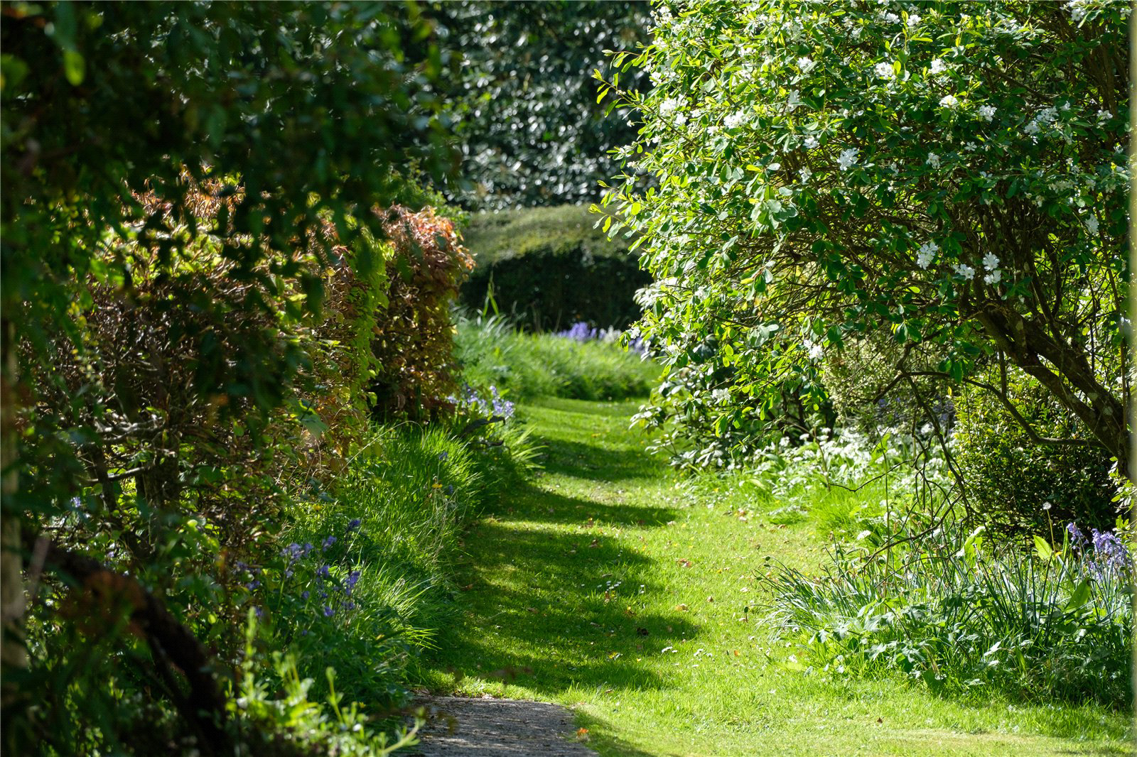 Pound Lane, Uplyme, Lyme Regis, Devon, DT7, photo 48