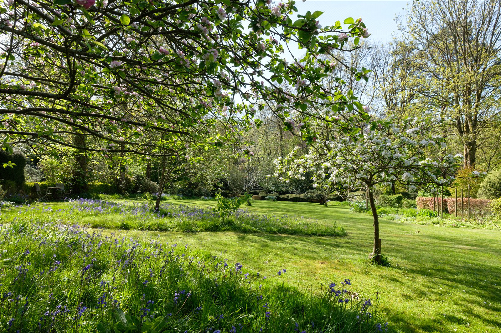 Pound Lane, Uplyme, Lyme Regis, Devon, DT7, photo 43