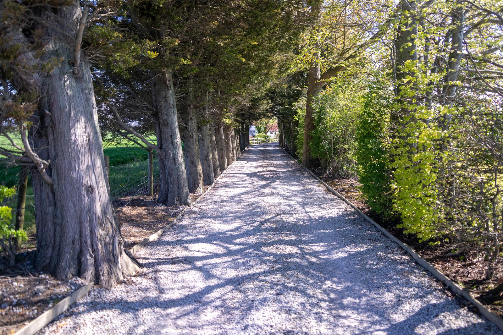 Lower Mountain Road, Penyffordd, Flintshire, CH4, photo 3