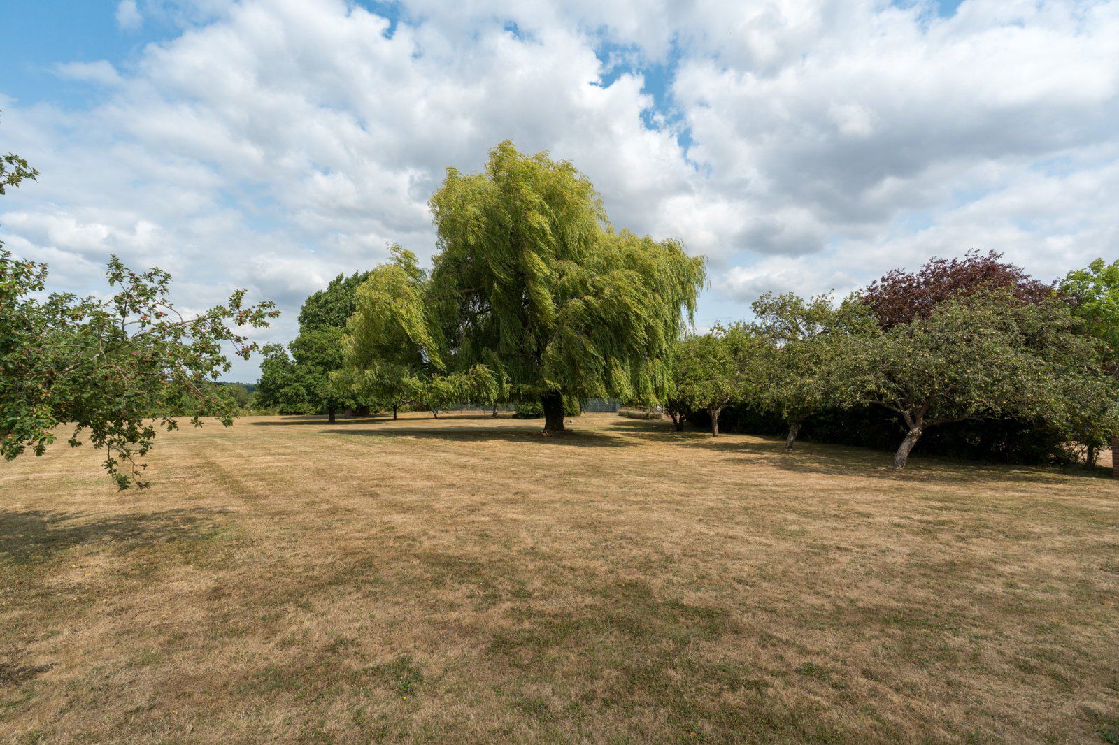 Layer Rd, Abberton, Essex, CO5, photo 44