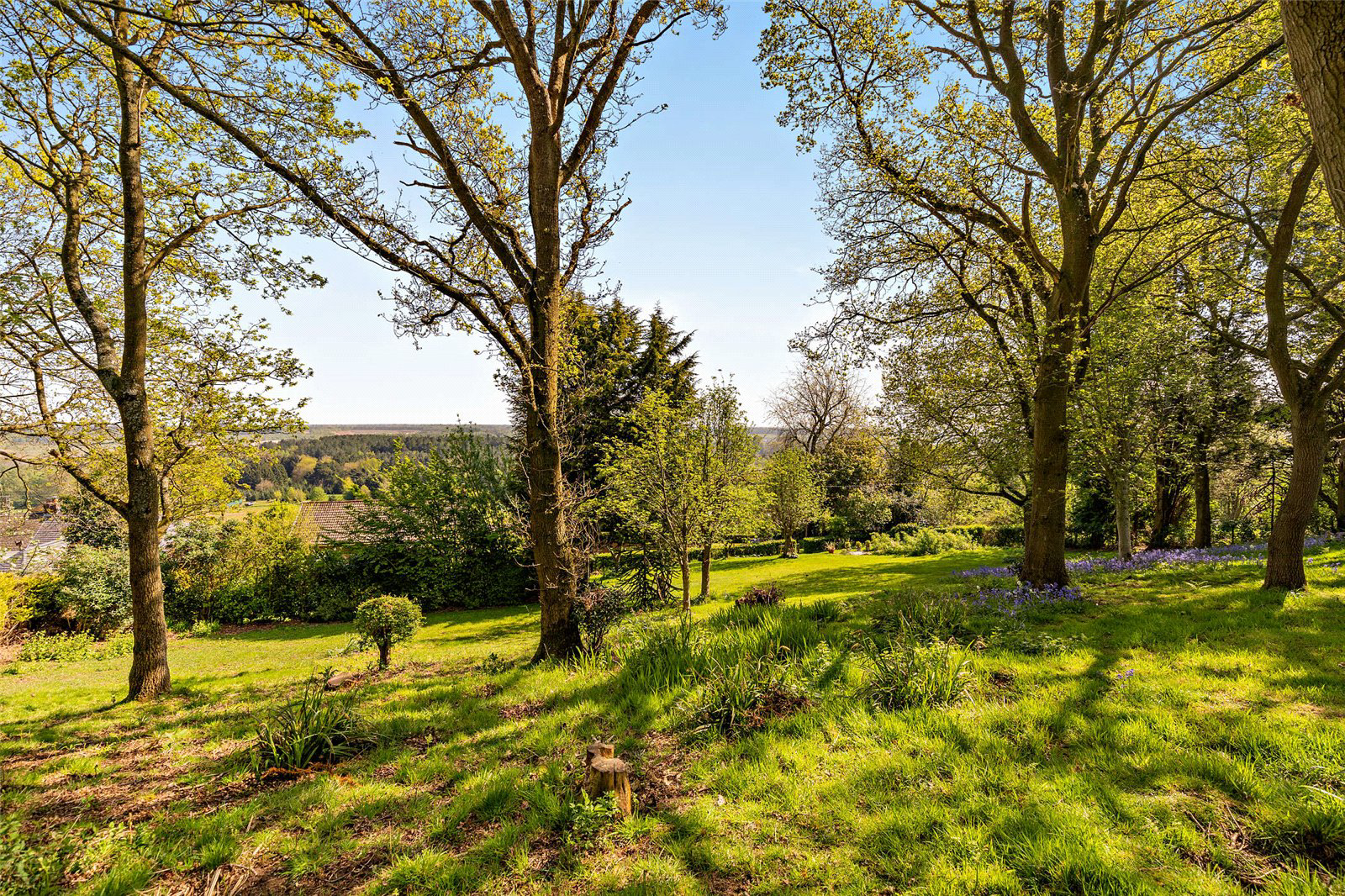 The Ridge, Delamere, Northwich, Cheshire, CW8, photo 21