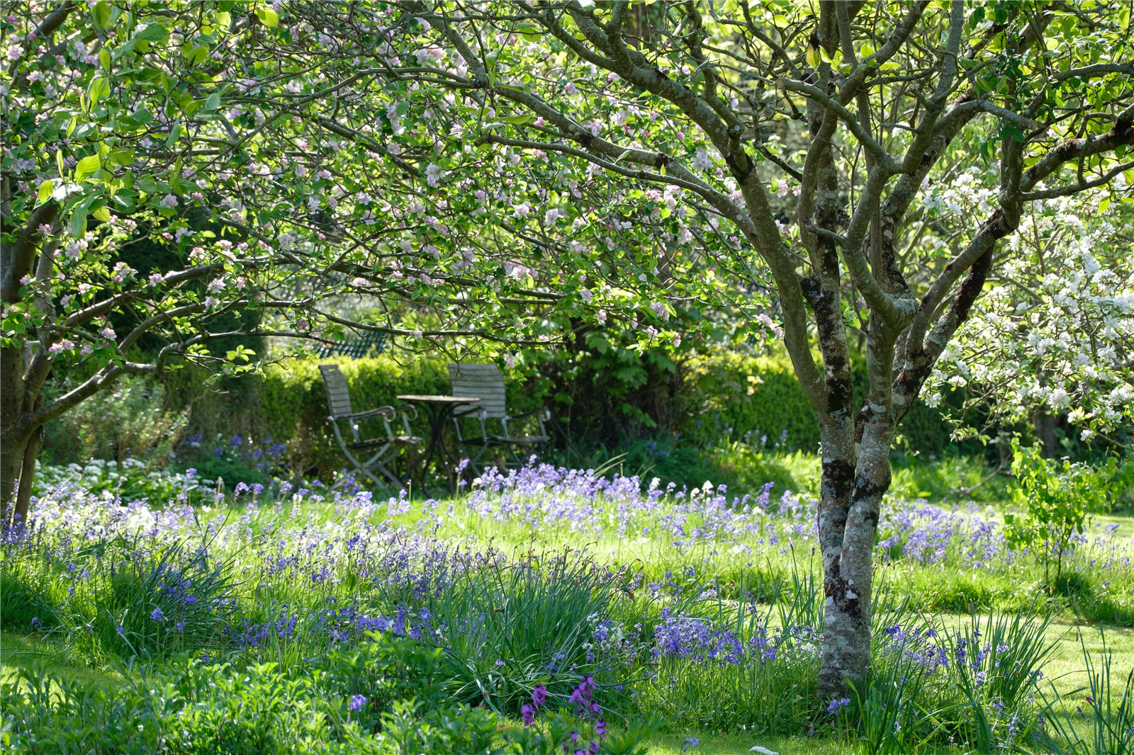 Pound Lane, Uplyme, Lyme Regis, Devon, DT7, photo 46