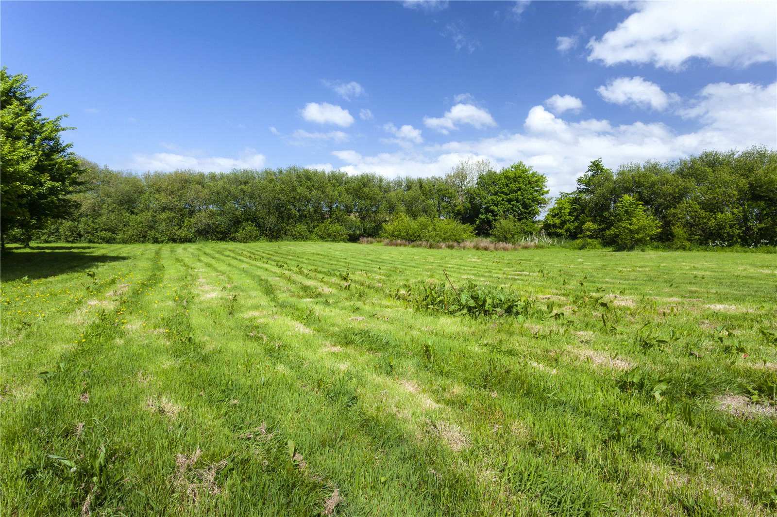 Horwood, Bideford, Devon, EX39, photo 20