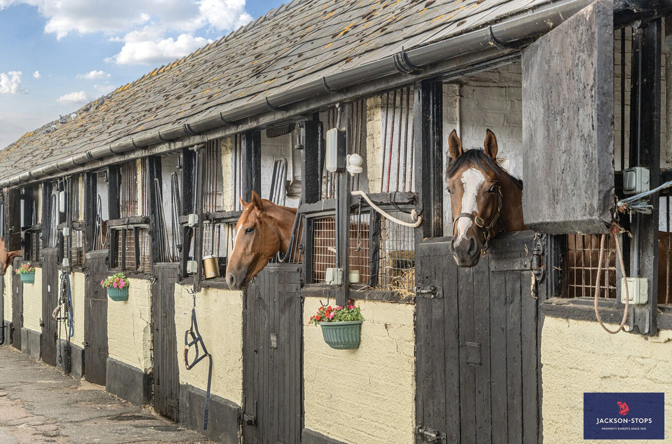 Moulton Road, Newmarket, Suffolk, CB8, photo 14
