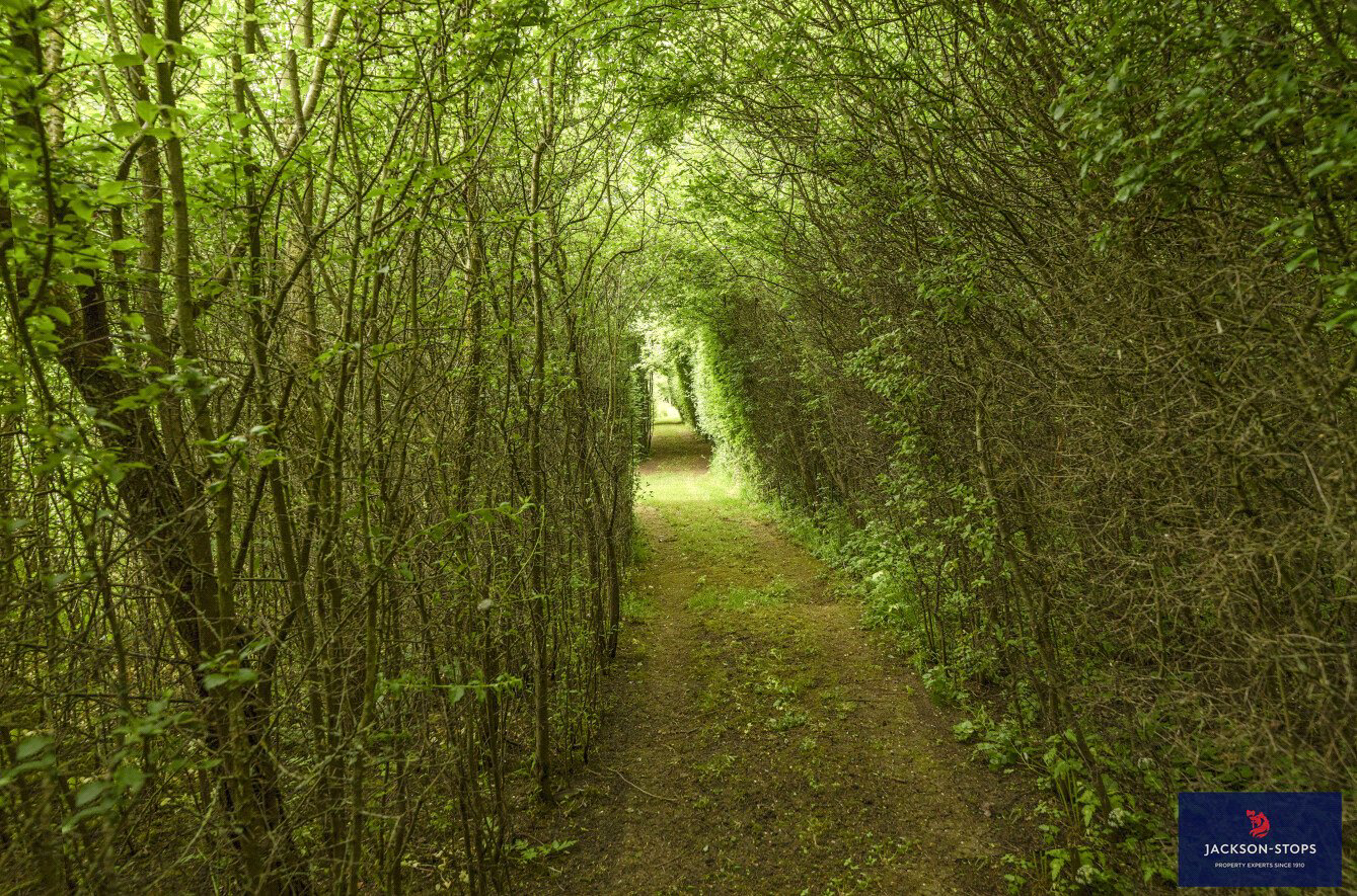 Thurlow Road, Withersfield, Haverhill, Suffolk, CB9, photo 31