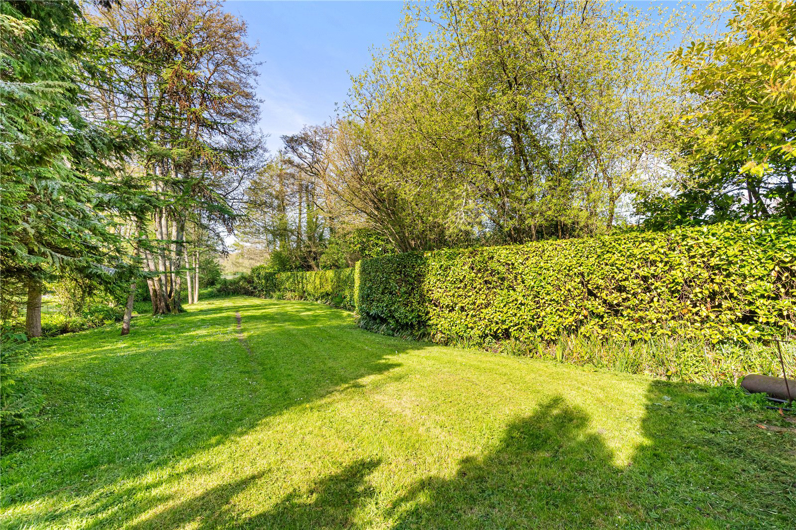 Chudleigh, Newton Abbot, Devon, TQ13, photo 17