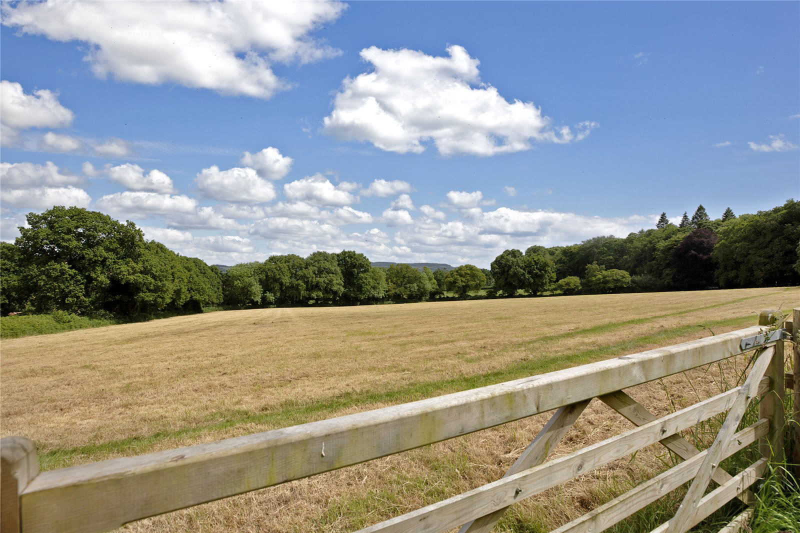 Higher Metcombe, Ottery St. Mary, Devon, EX11, photo 19