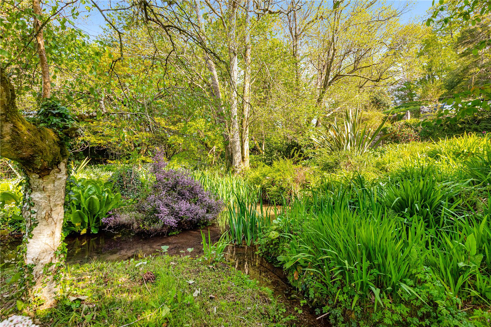 Chudleigh, Newton Abbot, Devon, TQ13, photo 19