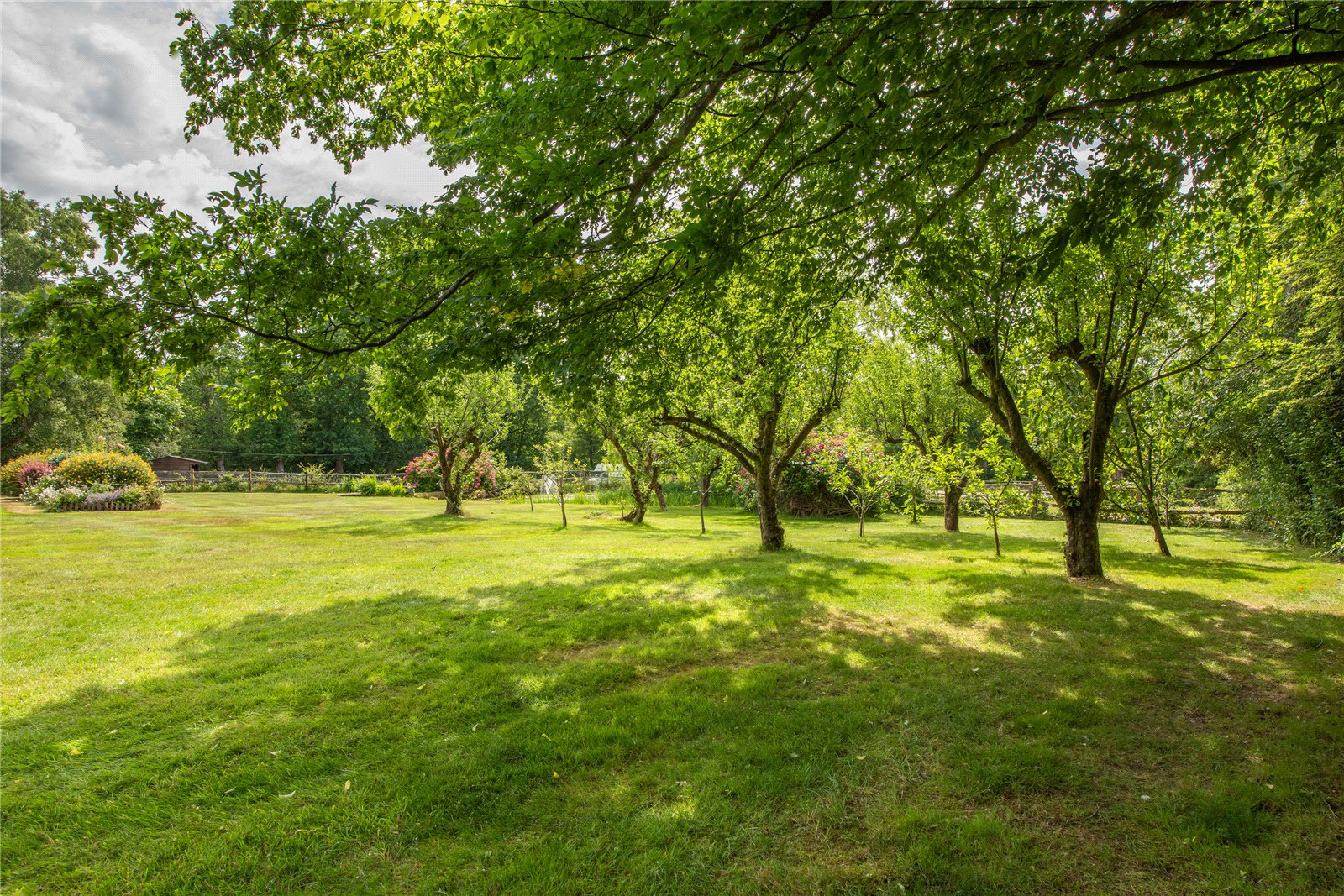 Mole Street, Ockley, Dorking, Surrey, RH5, photo 28