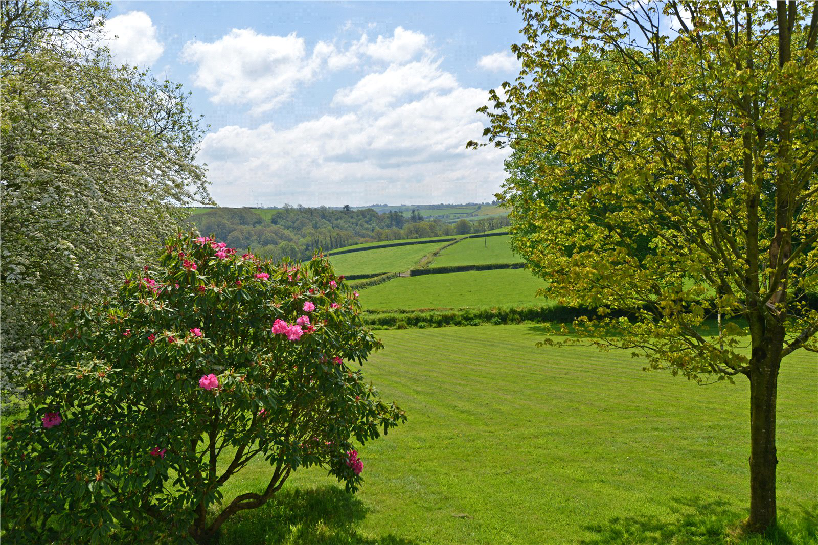 Kingscott, Torrington, Devon, EX38, photo 24
