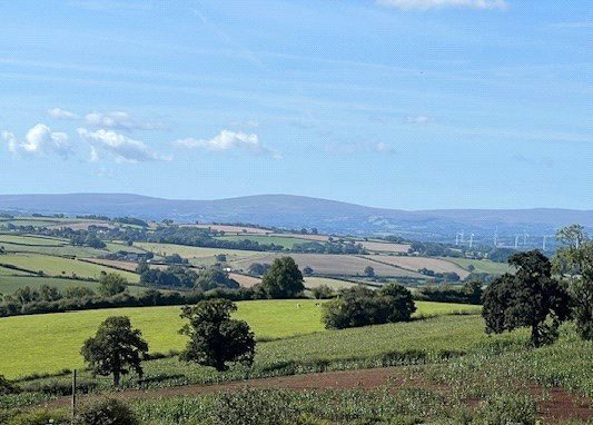 Belstone View, Chulmleigh Road, Morchard Bishop, EX17, photo 15