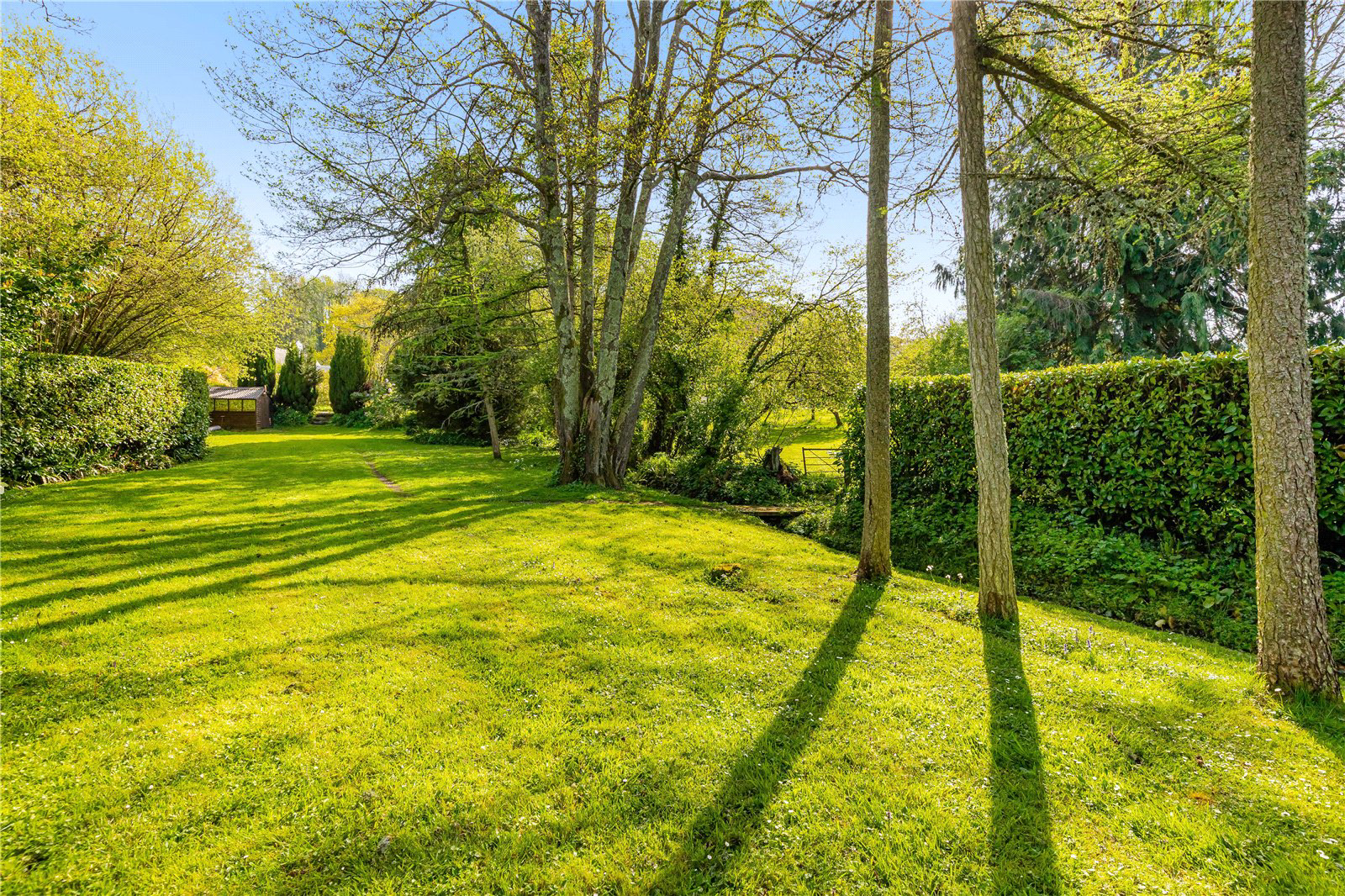 Chudleigh, Newton Abbot, Devon, TQ13, photo 16