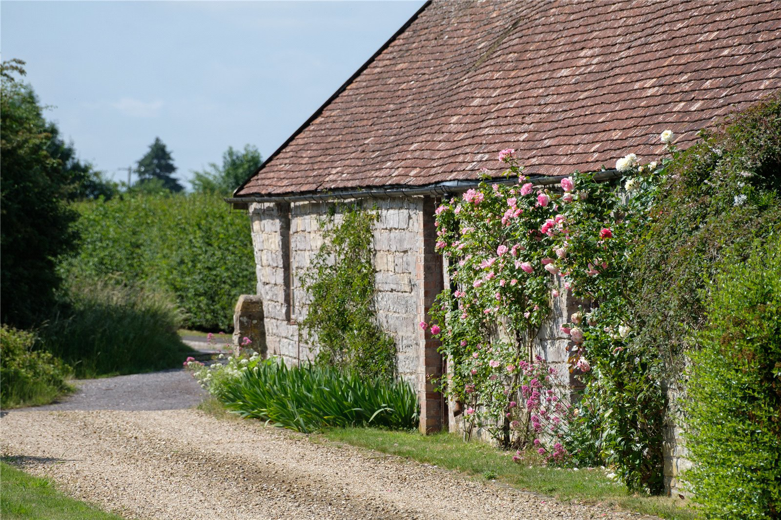 Muchelney, Langport, Somerset, TA10, photo 14