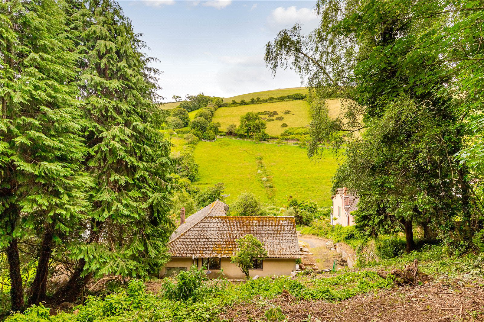 Weeke Hill, Dartmouth, Devon, TQ6, photo 12