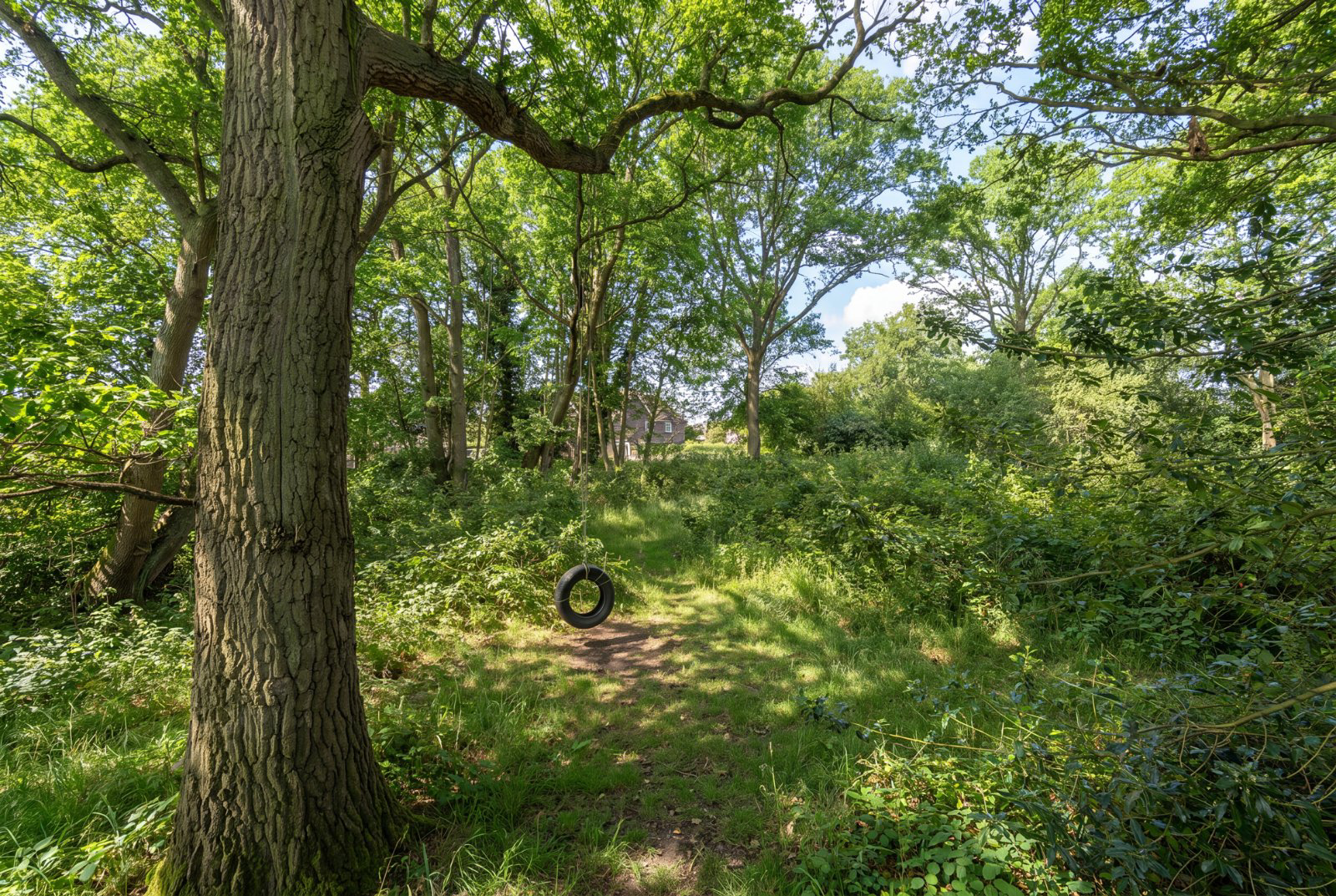 Choats Wood, Fordham, Colchester, Essex, CO3, photo 35