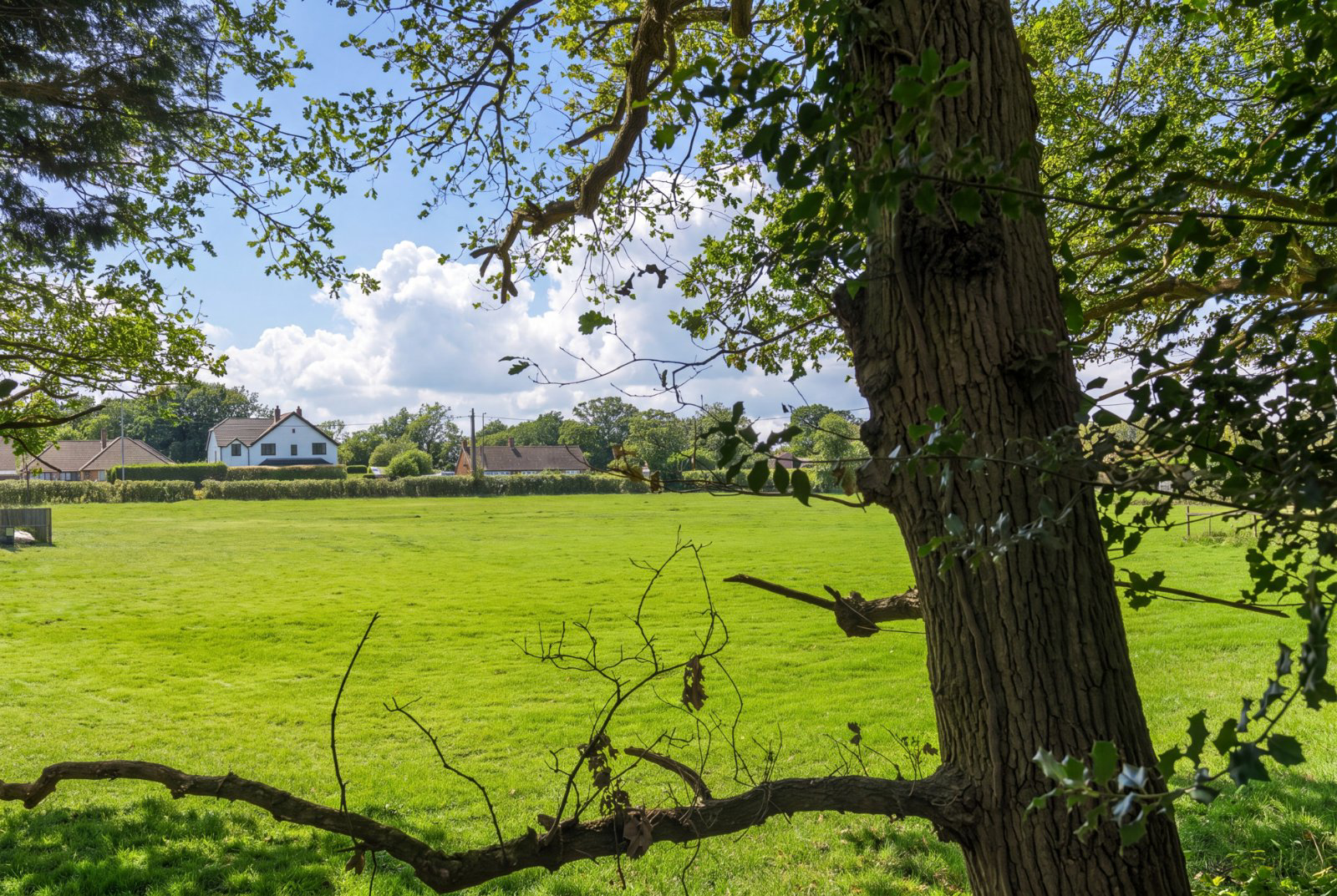 Choats Wood, Fordham, Colchester, Essex, CO3, photo 37