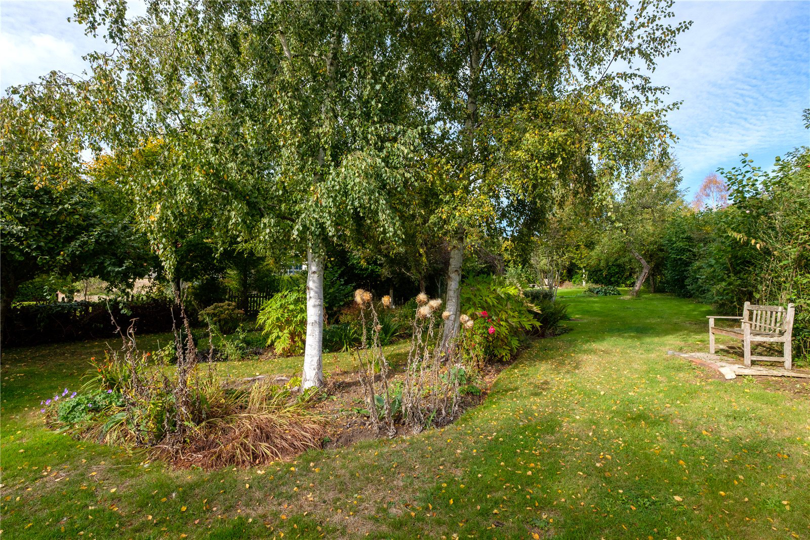 Dowlish Wake, Ilminster, Somerset, TA19, photo 58