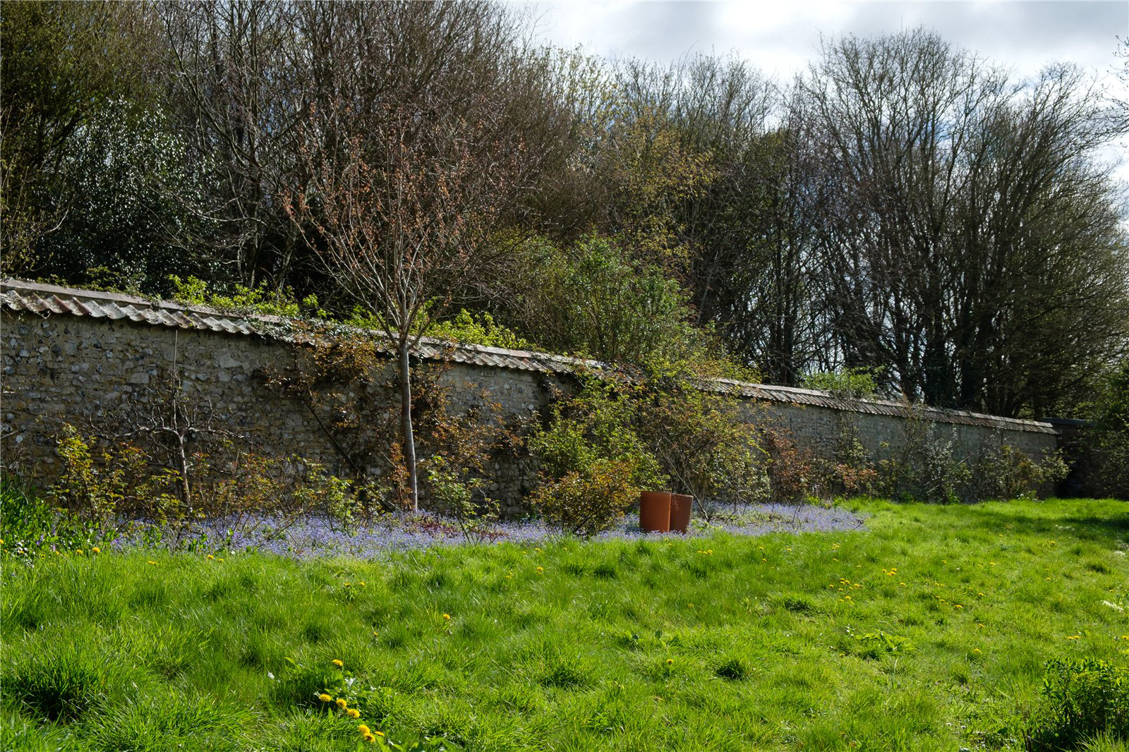 Rew, Martinstown, Dorchester, Dorset, DT2, photo 74
