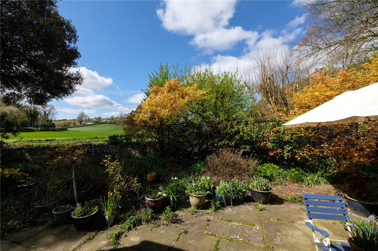 Rew, Martinstown, Dorchester, Dorset, DT2, photo 25