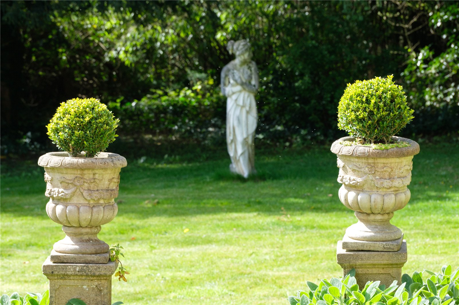 Rew, Martinstown, Dorchester, Dorset, DT2, photo 81