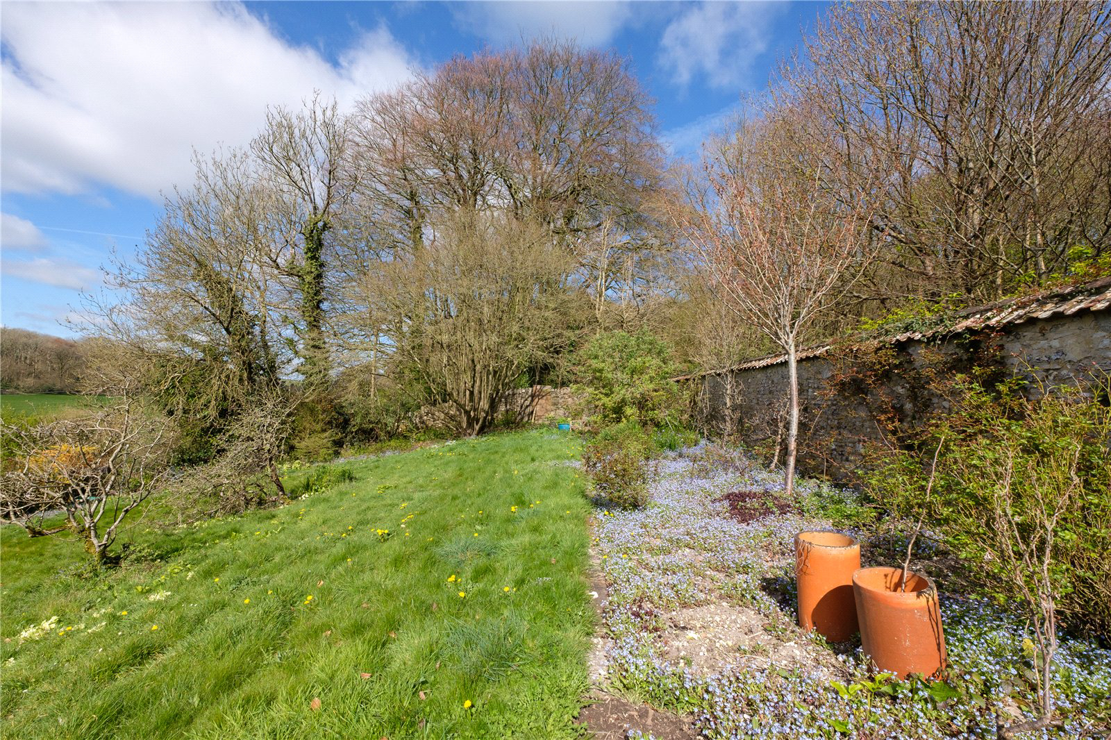 Rew, Martinstown, Dorchester, Dorset, DT2, photo 72