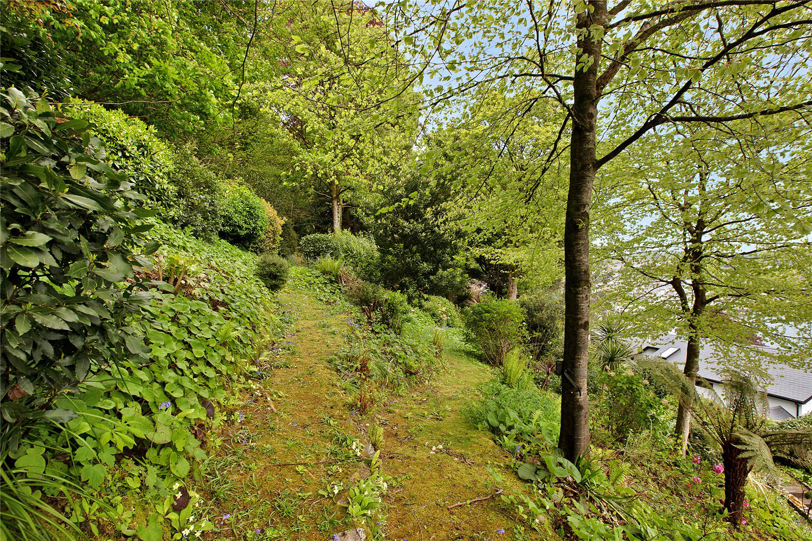 Above Town, Dartmouth, Devon, TQ6, photo 23