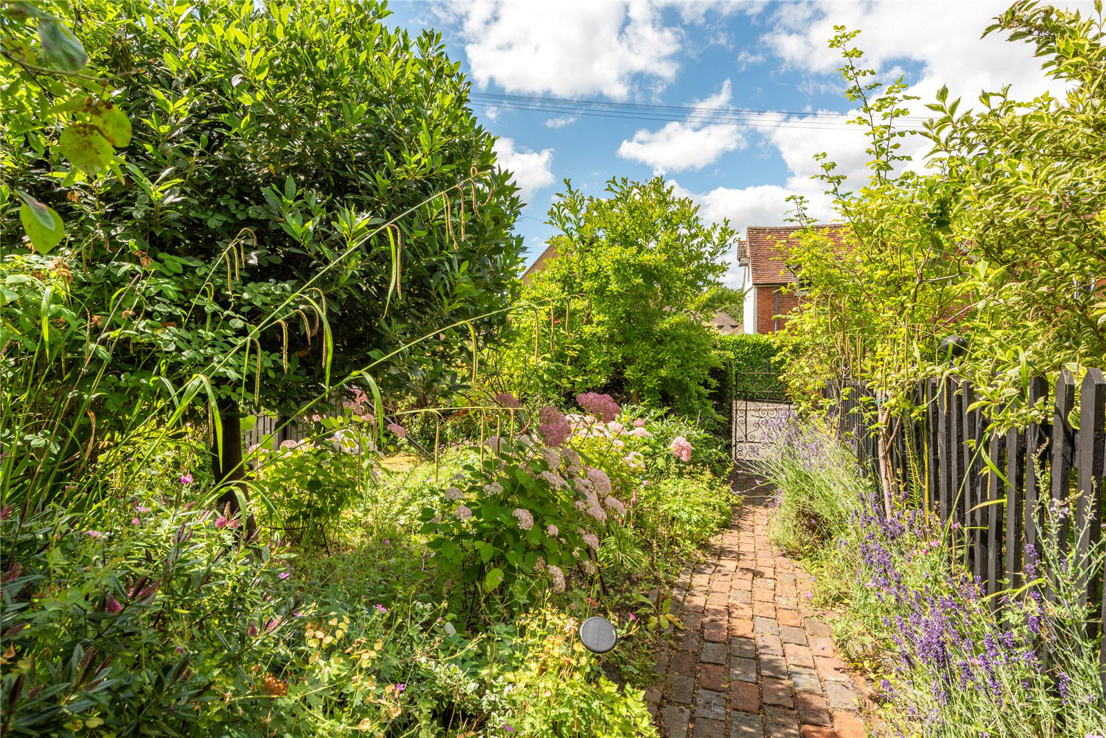 The Street, Ewhurst, Cranleigh, Surrey, GU6, photo 15