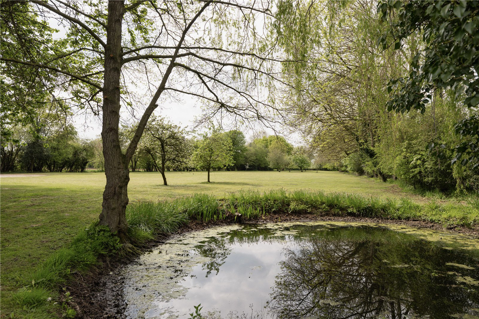 Barham's Lane, Carleton Rode, Norfolk, NR16, photo 6